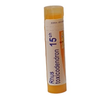 RHUS TOXICODENDRON 15 CH